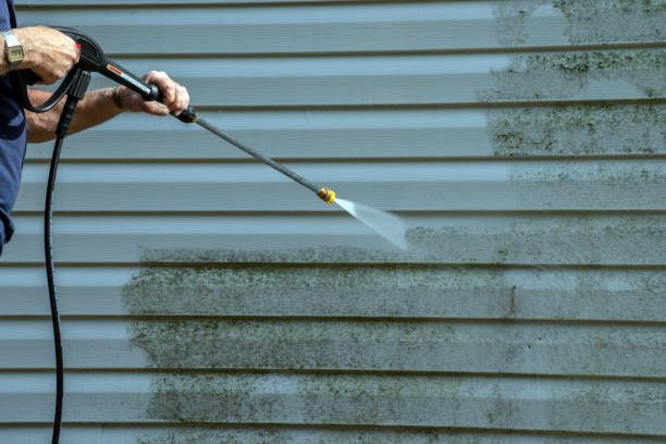 Spring Cleaning in Watseka, IL
